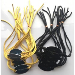 mf 1K Plastic Smart RFID Wristband for Hotel Resort